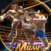 Arena333 APK icon