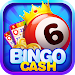 Bingo - Cash Win Real Money APK icon